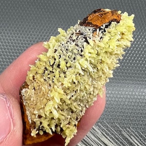 May include: A mineral specimen featuring a cluster of pale yellow crystals on a brown matrix. The crystals have a spiky, radiating structure, with a contrasting orange-brown area at the top. The background is a textured gray surface.