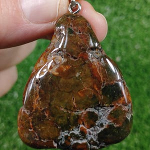 May include: A brown and green agate pendant with a silver bail. The agate has a unique pattern of swirls and spots.