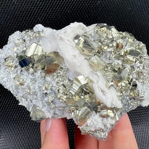 Very Shiny Pyrite and White Calcite on Quartz from Krushev dol mine, Madan, Bulgaria, Natural Mineral, rock, Crystal, collection, NA2099