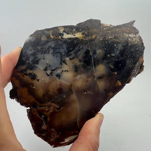 Puede incluir: Una piedra pulida de forma irregular con una mezcla de colores. La piedra presenta áreas negras, marrones y crema, con patrones intrincados y una calidad translúcida. La piedra se sostiene en una mano.