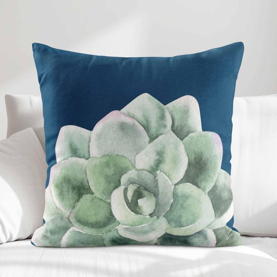 k succulents Deluxe Succulent and Cactus Garden