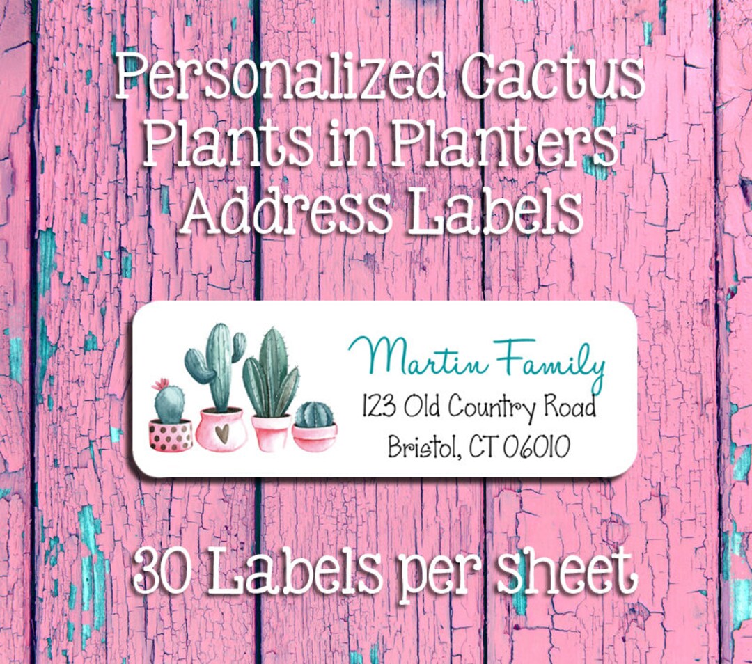 CACTUS in PLANTERS Return ADDRESS Labels, Cacti, Return Address, Gift