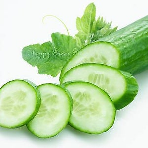 Vegetable CUCUMBER F1 - KING Of SALAD  80 seeds - greenhouse/outdoor - No skinning