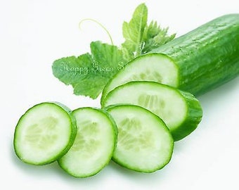 CUCUMBER F1 - KING Of SALAD - 50 seeds - greenhouse/outdoor - No skinning - Vegetable