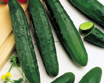 May include: Several dark green cucumbers with a bumpy texture are shown, some whole and some sliced. The cut cucumbers reveal the inner flesh. The image includes the text "Happy Gree Shop".