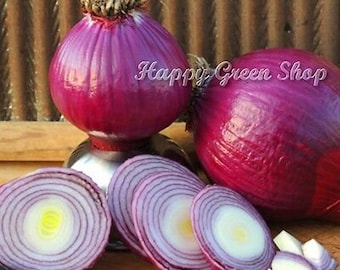May include: Two whole red onions and several sliced red onions. The onions are a deep red colour and have a purple hue. The sliced onions show the layers of the onion.