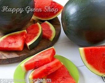 Vegetable - GIANT BLACK - Water Melon Sugar Baby -  40 seeds - Citrullus lanatus