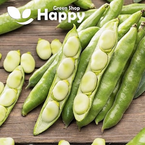 May include: A close-up of a bunch of fresh green fava beans, some of which are split open to reveal the pale green beans inside. The beans are arranged on a wooden surface. The text "Green Shop Happy" is visible in the top left corner of the image.