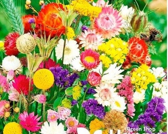 EVERLASTIG FLOWER MIX - For Use In Dryflower Arrangements - 1g of seeds