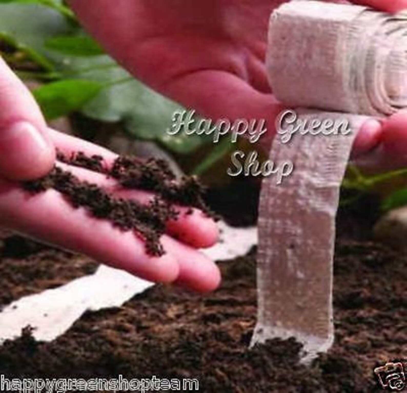 Vegetable Seed Tape F1 CUCUMBER 5 METERS 90 Seeds Easy Etsy