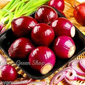 May include: A close-up of a bowl filled with red onions. The onions are arranged in a circular pattern, with some of the onions cut in half to show the inside. The onions are a deep red colour and have a shiny, smooth surface.