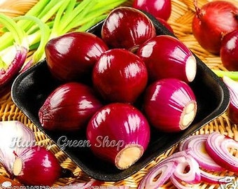 May include: A close-up of a bowl filled with red onions. The onions are arranged in a circular pattern, with some of the onions cut in half to show the inside. The onions are a deep red colour and have a shiny, smooth surface.