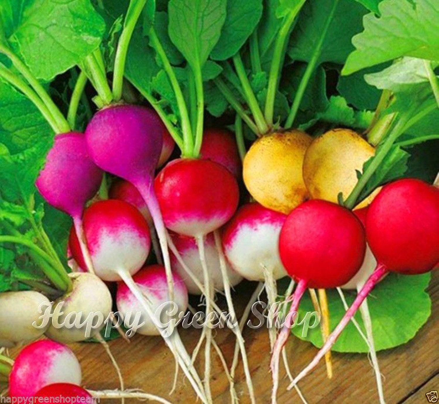 парниковые семена редиса. семена редиса семена редиса. семена редиса для лета. редис вера сорт. редис "ризенбуттер".