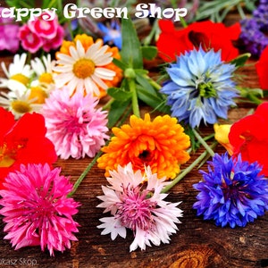 Mischung essbarer Blüten und Kräuter - 0,6g - Leckere und aromatische Mischung