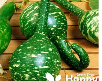 GOURD SPECKLED SWAN - Ornamental bottle calabashes - 10 seeds - Lagenaria siceraria