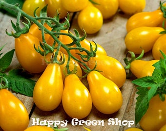 Vegetable - 160 seeds - TOMATO YELLOW PEAR - Cherry Bell - Cherry pear shaped tomato - Solanum