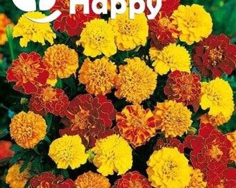 FRENCH MARIGOLD - BONITA Mixed - 350 seeds - Dwarf - Double flowers - Flower