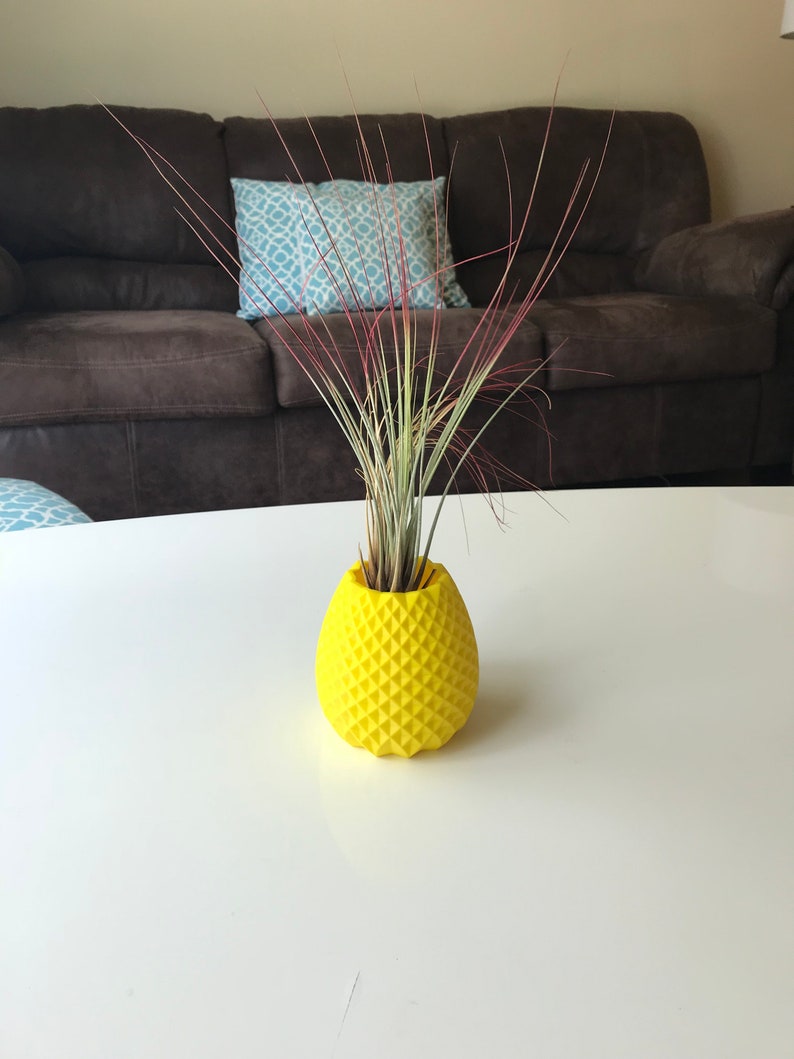 Pineapple Air Plant and Succulent Planter 3D Printed With Etsy