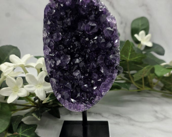 Uruguay Amethyst on Stand Deep Purple Crystal Cluster Druzy Display Specimen Gift