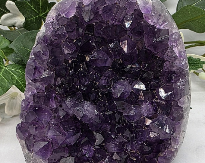 Genuine Uruguay Amethyst Druzy | Deep Purple Crystal Collector Specimen Cut Base | February Birthstone
