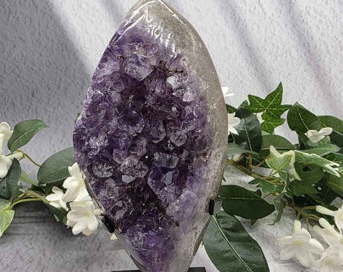 Uruguay Amethyst Cluster Display: Deep Purple Druzy Crystal Specimen on Stand