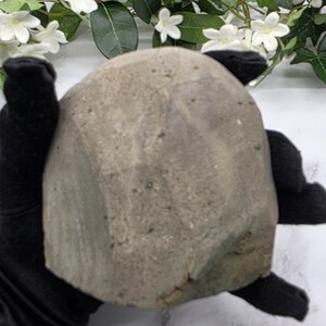 May include: A rounded, gray stone object with a textured surface is held by a person wearing black gloves. The stone has a natural, weathered appearance. White flowers and green leaves are in the background. The text "URBLKAM-TS" is at the bottom.
