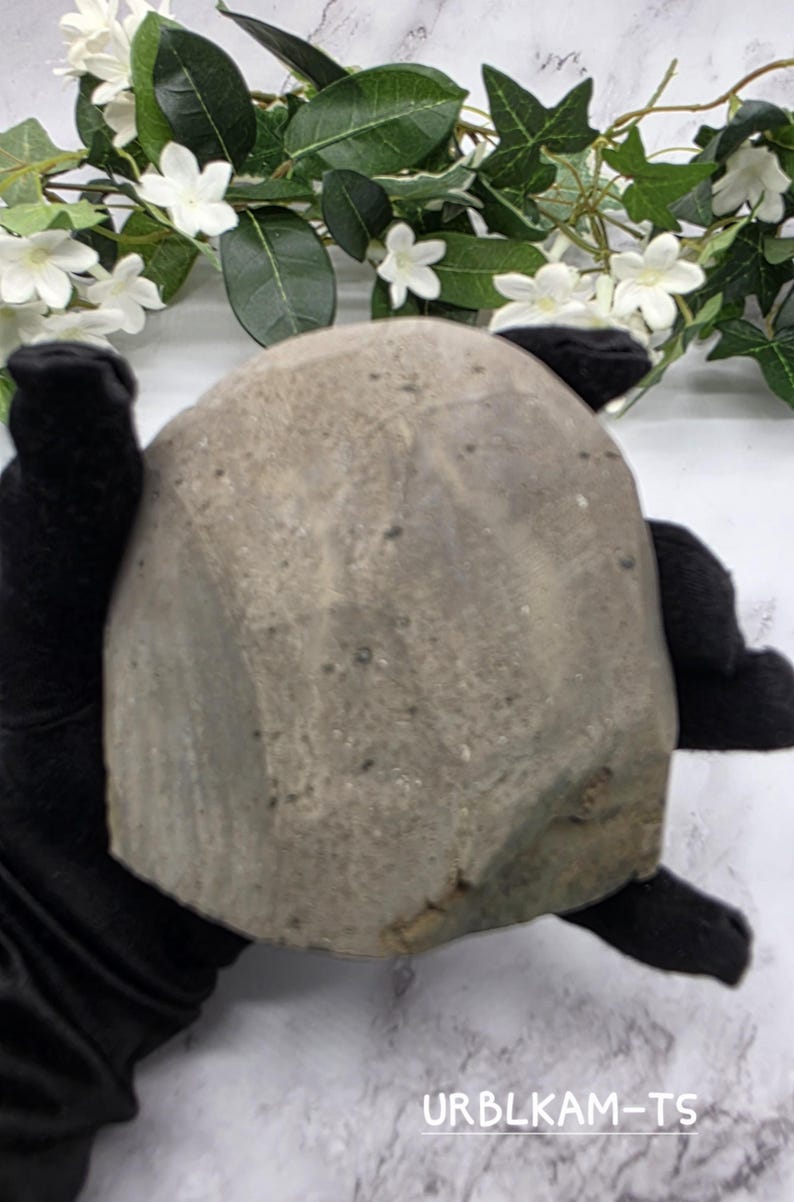 May include: A rounded, gray stone object with a textured surface is held by a person wearing black gloves. The stone has a natural, weathered appearance. White flowers and green leaves are in the background. The text "URBLKAM-TS" is at the bottom.