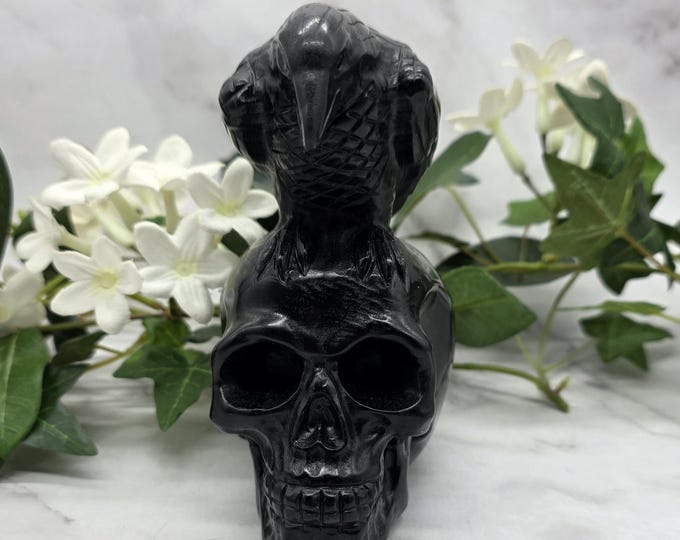 Black Obsidian Raven on Skull Carving 2.3 lb Hand Carved Crystal Skull Statue Protection Stone Gothic Decor Spiritual Raven Sculpture