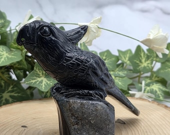 Hand Carved Black Druzy Agate Parrot: Crystal Bird Figurine