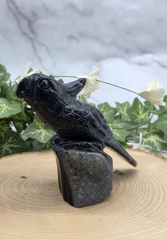 Black Druzy Agate Hand Carved Parrot Cockatoo • Crystal Bird Figurine • Agate Animal Totem • Metaphysical Home Decor • Unique Crystal Gift