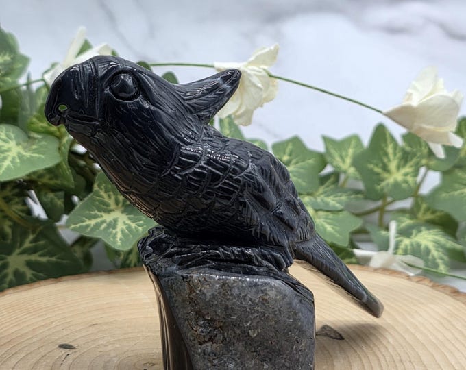 Hand Carved Black Druzy Agate Parrot: Crystal Bird Figurine