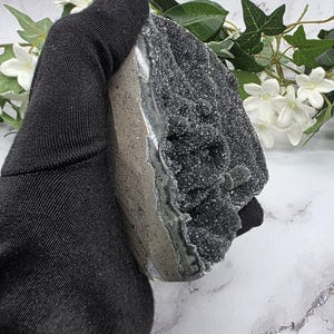 May include: A dark gray geode with a sparkling, crystalline surface. The geode is held by a black glove, showcasing its rough, textured exterior and natural color variations. White flowers and greenery are in the background.