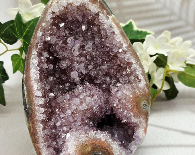 Pink Amethyst Geode with Stalactite Eye – Uruguay Crystal Collector Specimen