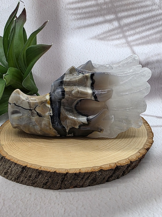 Volcano Agate Dragon Skull: Hand Carved Crystal Head, Metaphysical Decor