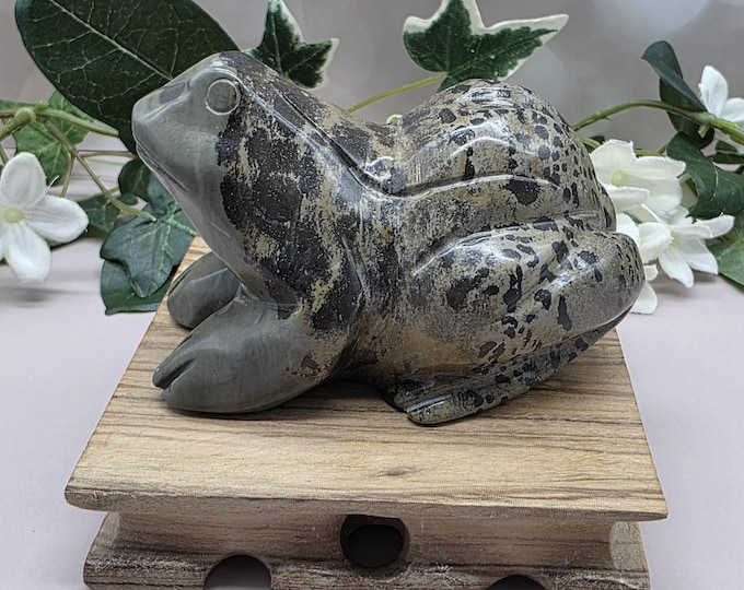 Hand Carved Picture Jasper Frog Figurine with Wood Display Stand