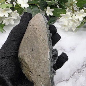May include: A rough-hewn, gray stone with a dark, crystalline edge. The stone is held in a black glove, with white flowers and green leaves in the background. The stone has a natural, organic appearance.