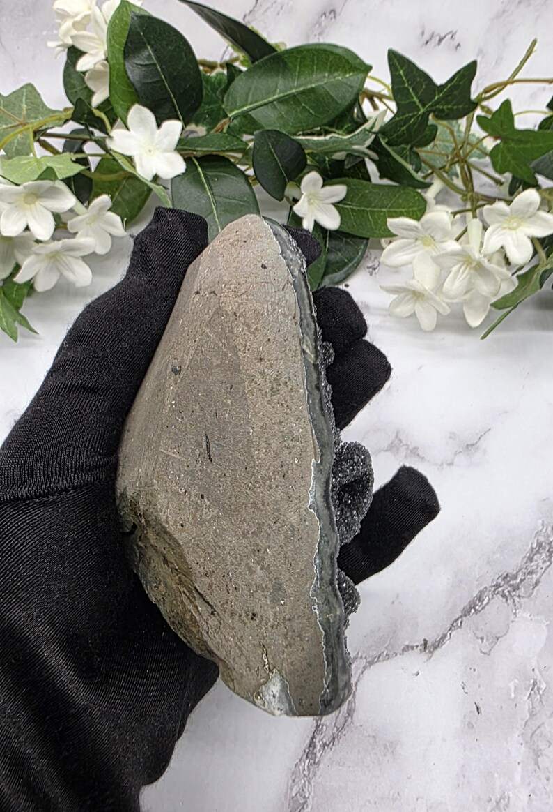 May include: A rough-hewn, gray stone with a dark, crystalline edge. The stone is held in a black glove, with white flowers and green leaves in the background. The stone has a natural, organic appearance.