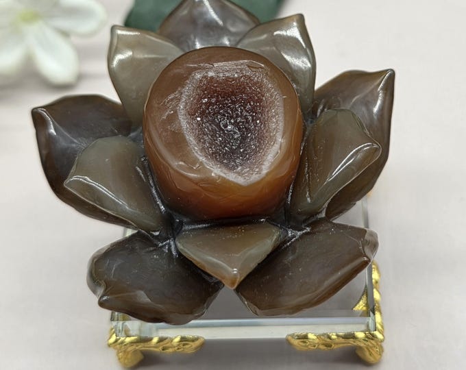 Hand Carved Druzy Carnelian Agate Lotus Flower, Natural Stone Carving with Glass Stand