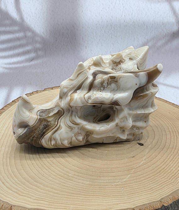 Amber Calcite Dragon Skull with Hidden Drusy  Hand Carved Crystal Skull | Dragon Carving for Protection, Clarity & Transformation