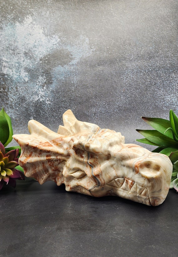 XXL Chocolate Agate Dragon Skull, Statement Piece, Crystal Dragon Head, Hand Carved Agate Dragon Skull, Over 8 Pounds, Collectors Gift