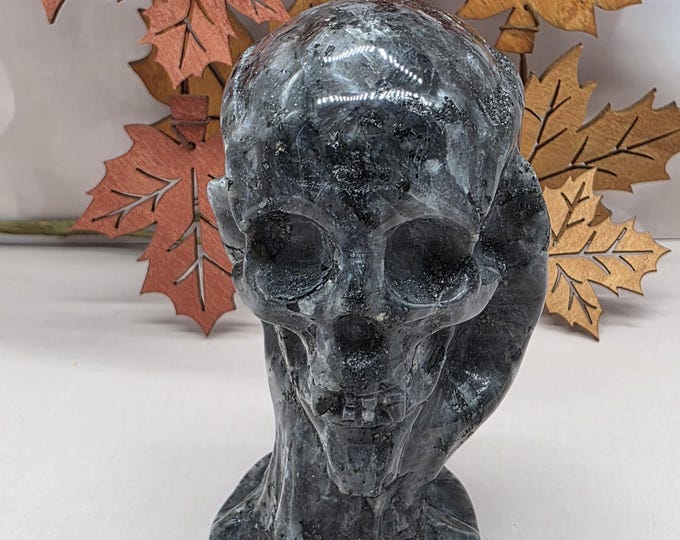Larvikite Skull in Claw Carving, Gothic Halloween Crystal Figurine