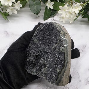 May include: A dark gray geode crystal with a sparkling, textured surface. The geode is held in a black glove, with white flowers and green leaves in the background. The crystal has a rough, natural edge.