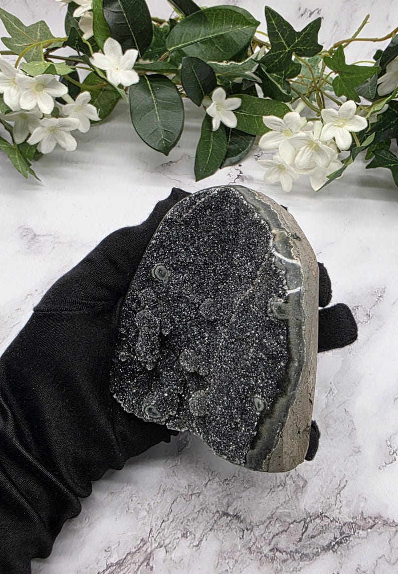 May include: A dark gray geode crystal with a sparkling, textured surface. The geode is held in a black glove, with white flowers and green leaves in the background. The crystal has a rough, natural edge.