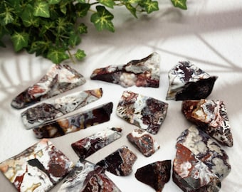 Mexican Crazy Lace Agate Lot: 17 Polished Freeform Crystals