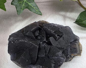 UV Reactive Black Rose Fluorite from Pakistan | Rare Fluorescent Fluorite Crystal Specimen | Collector Mineral Display