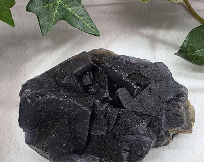 UV Reactive Black Rose Fluorite from Pakistan | Rare Fluorescent Fluorite Crystal Specimen | Collector Mineral Display
