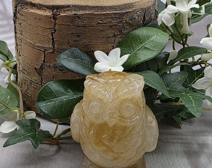Golden Healer Quartz Owl Hand Carved Crystal Figurine, Healing Stone of Wisdom And Light, Gemstone Animal Carving Gift