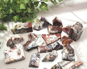 Mexican Crazy Lace Agate Lot: 20 Polished Freeform Crystals