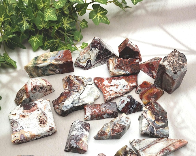 Mexican Crazy Lace Agate Lot: 20 Polished Freeform Crystals