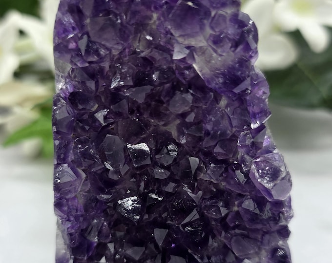 Uruguay Amethyst Druzy Freeform  Natural Purple Crystal Cluster with Agate Banding | Small Cut Base Amethyst Specimen | Healing Crystal Dec